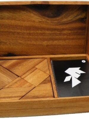 Logic Tangram Set with Play Cards