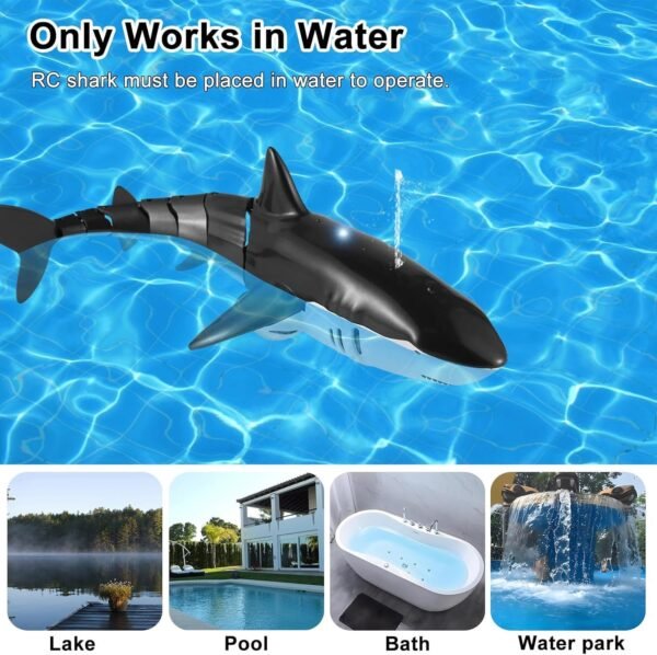 Remote Control Shark Toy